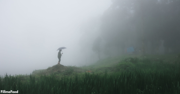 rain