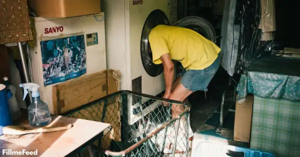 Solo Living & Independent Lifestyles