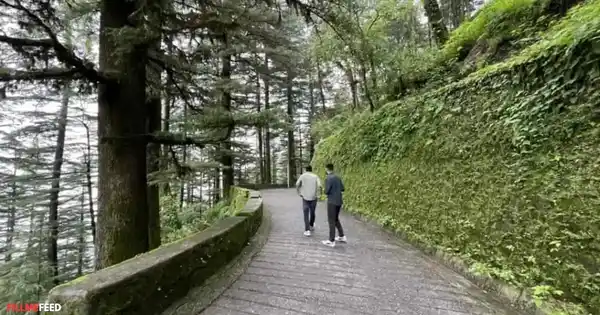 Places to visit during summer vacation india- Mussoorie