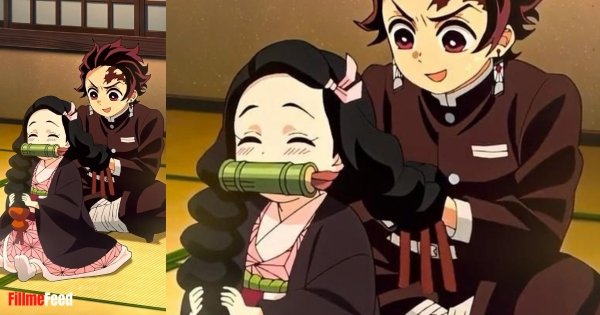 Raksha Bandhan Demon Slayer - Tanjiro and nezuko.