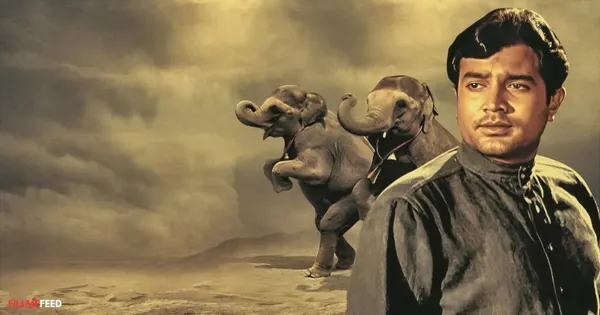 Filmi Pets - Haathi Mera sathi