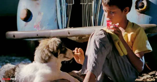 Filmi Pets -  Chillar Party