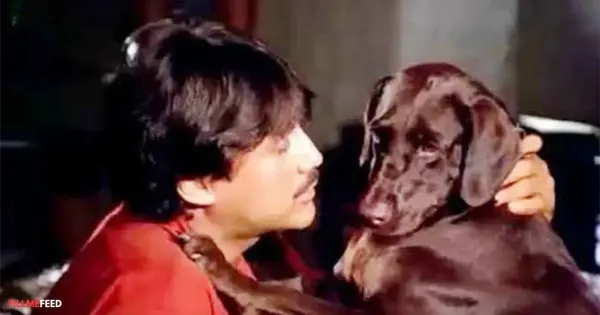 Filmi Pets - Moti